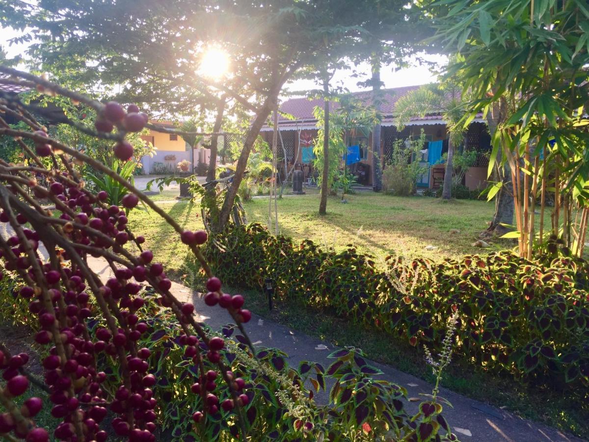 Soluna Guest House Pantai Cenang  Εξωτερικό φωτογραφία