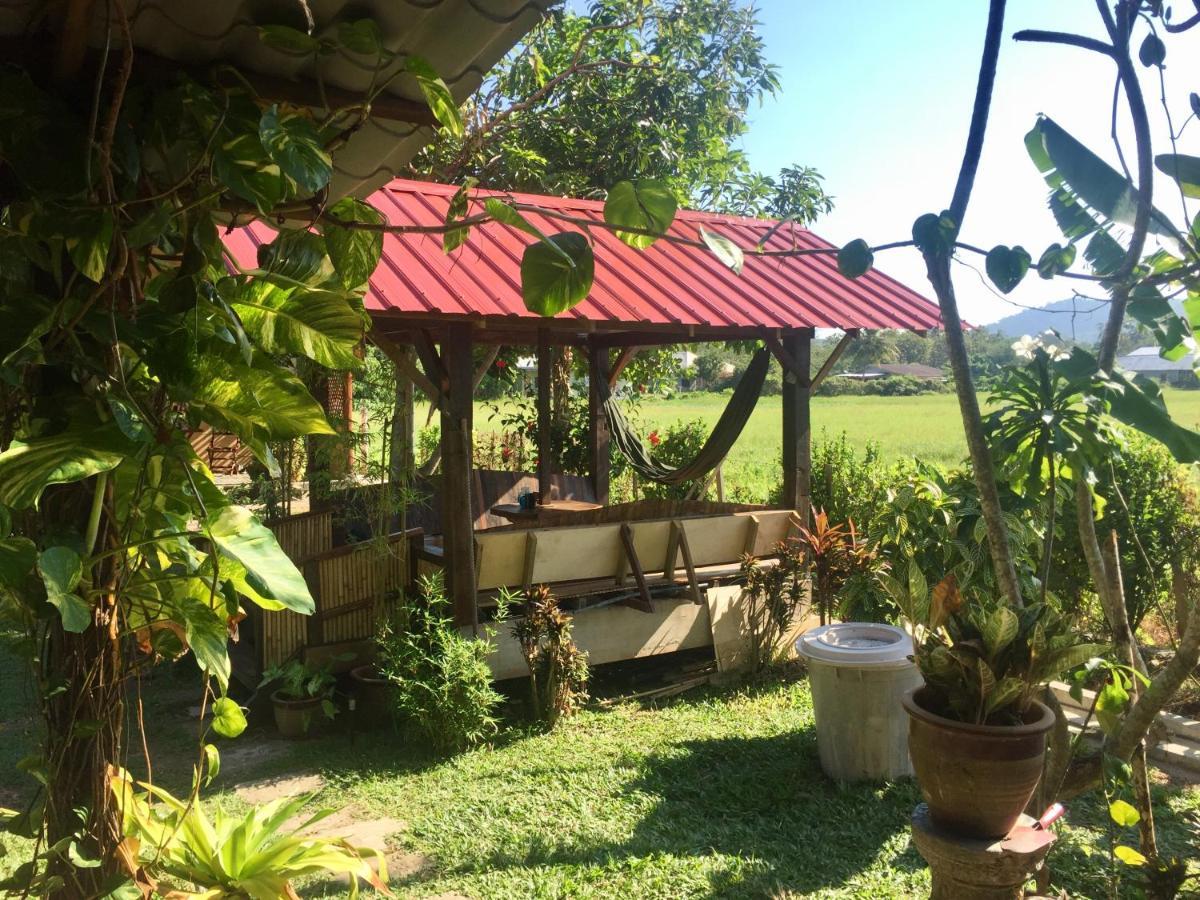 Soluna Guest House Pantai Cenang  Εξωτερικό φωτογραφία